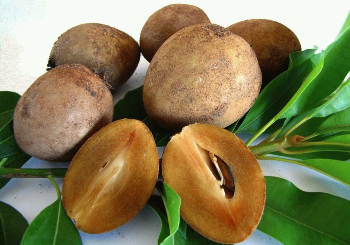 Sapodilla: pehme magusus ja antioksüdantide jõud