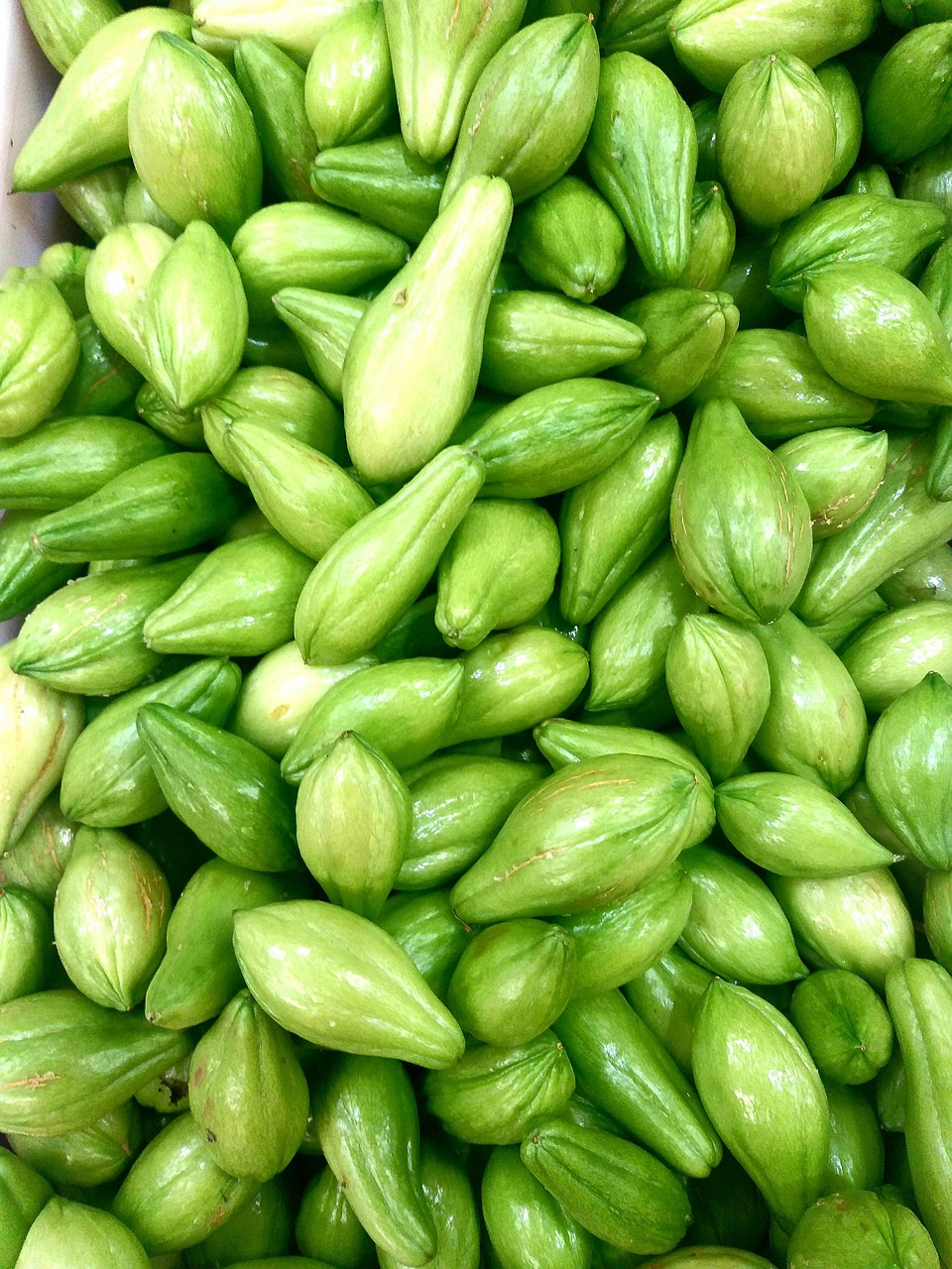 Chayote: veresoonte elastsus ja rakkude uuenemine